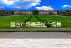 蝶衣广场舞最炫广场舞