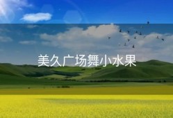 美久广场舞小水果