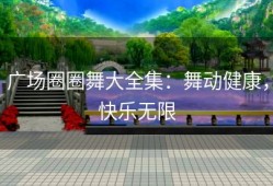 广场圈圈舞大全集：舞动健康，快乐无限
