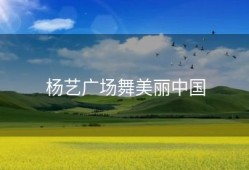 杨艺广场舞美丽中国