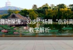 舞动深情，32步广场舞“伤别离”教学解析