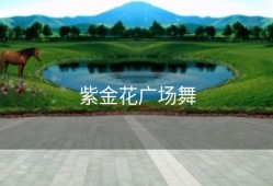 紫金花广场舞