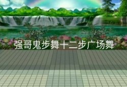 强哥鬼步舞十二步广场舞