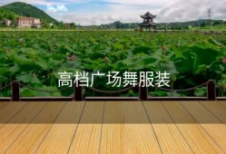 高档广场舞服装