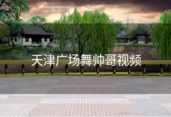 天津广场舞帅哥视频