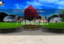 广场舞相思渡口