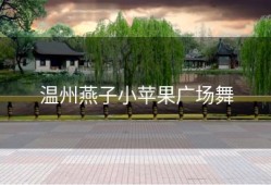 温州燕子小苹果广场舞