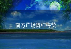 南方广场舞红梅赞