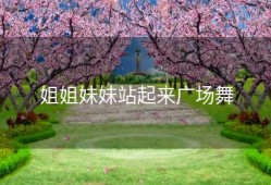 姐姐妹妹站起来广场舞