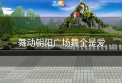 舞动朝阳广场舞全是爱