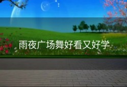雨夜广场舞好看又好学