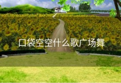 口袋空空什么歌广场舞