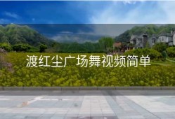 渡红尘广场舞视频简单