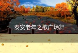 泰安老年之歌广场舞