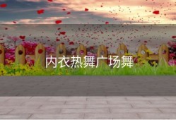 内衣热舞广场舞