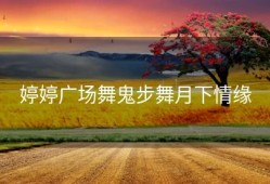 婷婷广场舞鬼步舞月下情缘