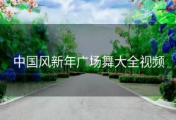 中国风新年广场舞大全视频