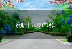 瘦腰十六步广场舞