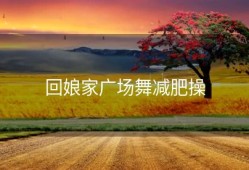 回娘家广场舞减肥操