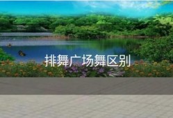 排舞广场舞区别