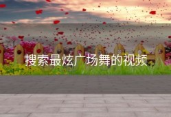 搜索最炫广场舞的视频