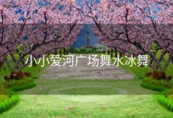小小爱河广场舞水冰舞