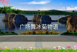 广场舞冰菊物语