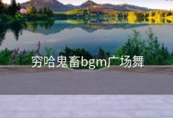 穷哈鬼畜bgm广场舞