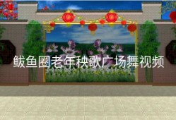 鲅鱼圈老年秧歌广场舞视频