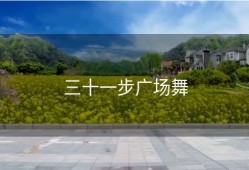 三十一步广场舞