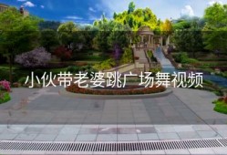 小伙带老婆跳广场舞视频