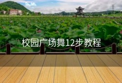 校园广场舞12步教程