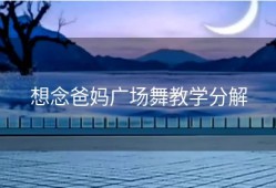 想念爸妈广场舞教学分解