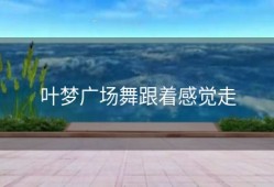 叶梦广场舞跟着感觉走