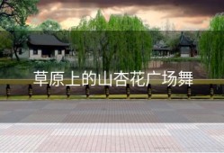 草原上的山杏花广场舞