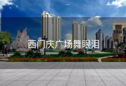 西门庆广场舞眼泪