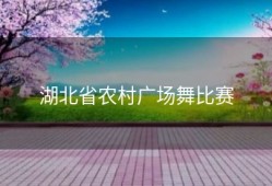 湖北省农村广场舞比赛