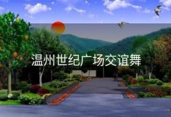 温州世纪广场交谊舞