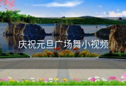 庆祝元旦广场舞小视频