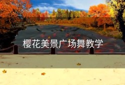 樱花美景广场舞教学