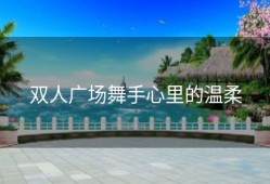 双人广场舞手心里的温柔