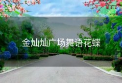 金灿灿广场舞语花蝶