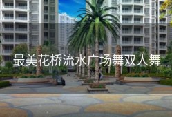 最美花桥流水广场舞双人舞