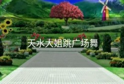 天水大姐跳广场舞