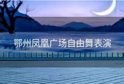 鄂州凤凰广场自由舞表演