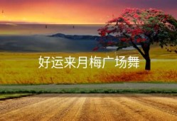 好运来月梅广场舞