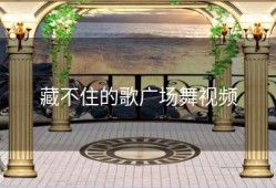 藏不住的歌广场舞视频