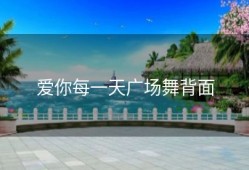 爱你每一天广场舞背面
