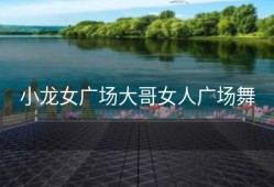 小龙女广场大哥女人广场舞