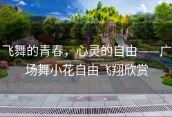飞舞的青春，心灵的自由——广场舞小花自由飞翔欣赏